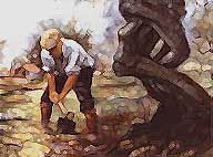 Donato Minonni